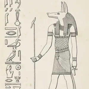 Ancient egyptian hieroglyph of Anubis goddess of death