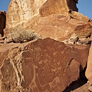 Ancient rock carvings of African animals