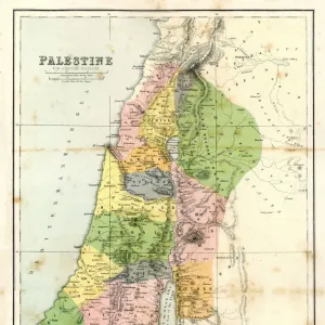 Antique Map - Biblical Palestine