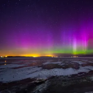 Aurorae