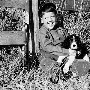 Boy sitting leaning against fence, holding spaniel puppy, smiling and laughing