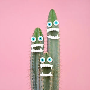 Photographers Framed Print Collection:  Juj Winn's Bright, colourful, quirky creative collection