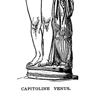 Capitoline Venus