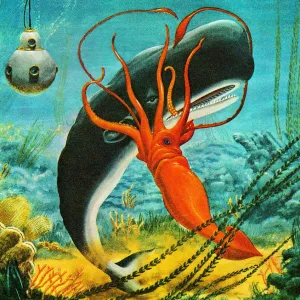 Squid Attacking Whale Print - Captivating Art Illustrations Squid Attacking Whale Print - Captivating Art Illustrations