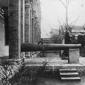 Captured Cannon
