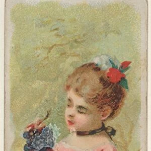 Concord Grapes Trade Card 1891