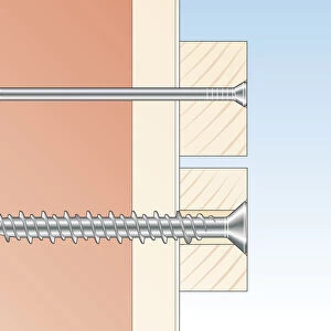 Digital cross section illustration of round head masonry nail and flat head screw inserted through timber and wall