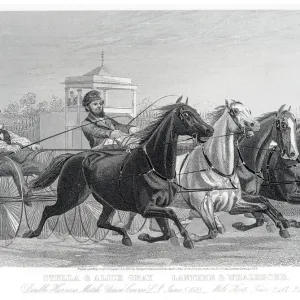 Double Harness racing horse competition 1857