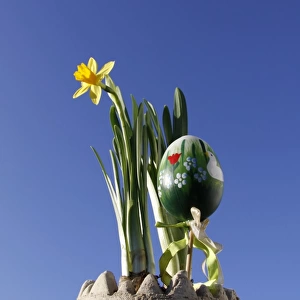 Easter decorations, daffodils and a painted Easter egg