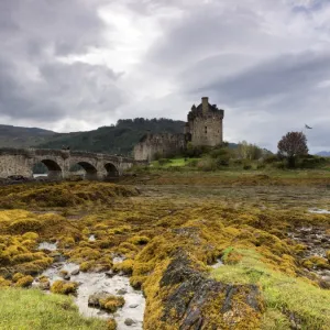 Eileand Donan Castle, Scotland