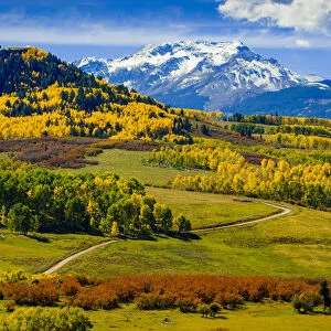 Fall colors, vista, San Juan Range, Colorado, USA