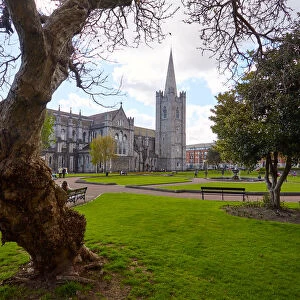 Flowers in St. Patricks Park and St. Patricks Cathedral in Dublin City, Ireland
