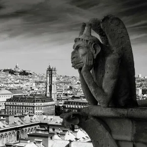 Iconic Buildings Around the World Collection: Notre Dame Cathedral, Paris