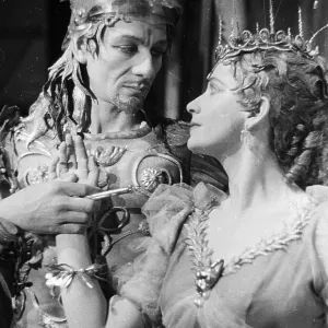 Film and Movie Posters: A Midsummer Nights Dream