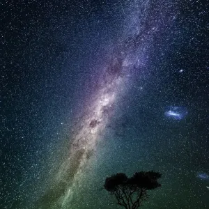 Milky Way Print: Africa Night Sky with Acacia Tree, Namibia Milky Way Print: Africa Night Sky with Acacia Tree, Namibia