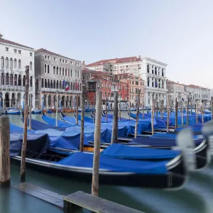 Grand Canal, Canal Grande, with boats in the morning, Venice, Venezien, Italy