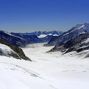 Great Aletsch Glacier, Bernese Alps