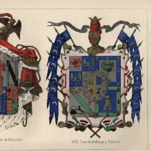 Coats of Arms Engravings 19th Century