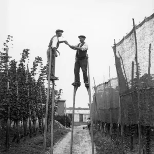 1928 Wateringbury Hop Pickers Print 1928 Wateringbury Hop Pickers Print