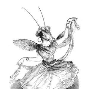 Humanized animals illustrations: Snail and insects