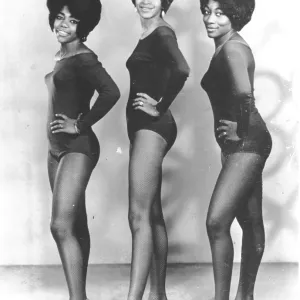 The Ikettes