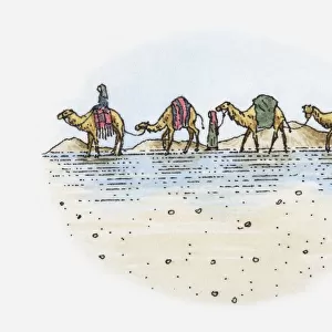 Illustration of camel train in the desert