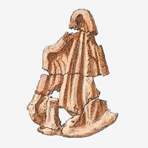 Illustration of fragments of Ancient Greek terracotta mould