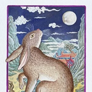 Illustration of Rabbit Looking at the Moon, representing Chinese Year Of The Rabbit
