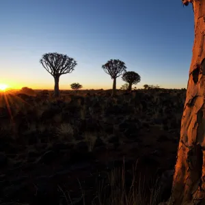 Namibia Collection: Keetmanshoop