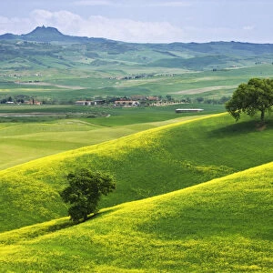 Landscape with villas, Tuscany, Italy