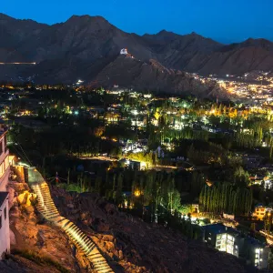 Leh city