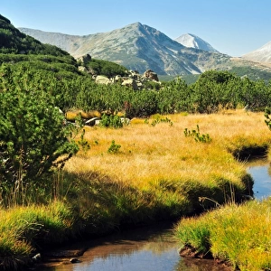 Little stream in Pirin mountain, Bulgria