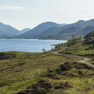 Lakes Metal Print Collection: Loch Lomond