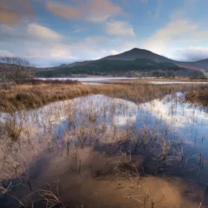 Loch Tummel Scenic Vista