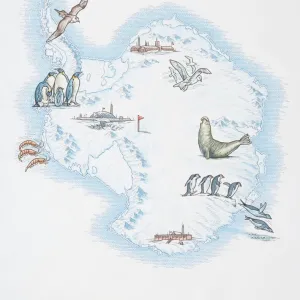 Map of Antarctica overlaid with illustrations of Sea Gulls, Penguins, Elephant Seal, Shrimp and buildings