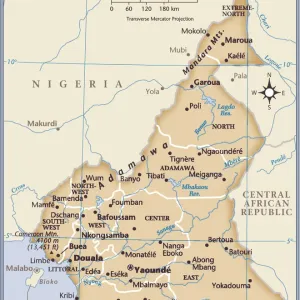 Cameroon Country Map Print (2011 Reference Maps) Cameroon Country Map Print (2011 Reference Maps)