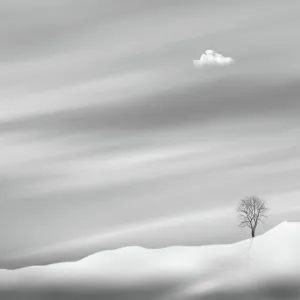 Still life artwork Collection: Minimalist artwork