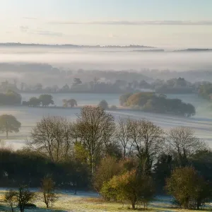 Misty Sunrise from Newlands Corner in Surrey