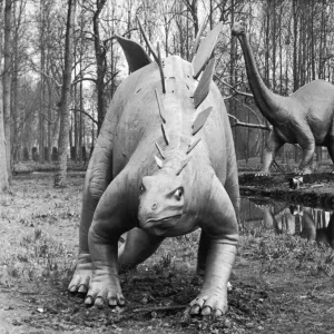 April Gallery: 10 Apr 1980