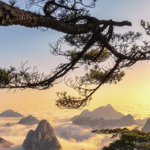 China Heritage Sites Collection: Mount Huangshan