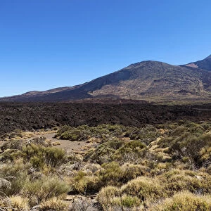 Mt Teide volcano in the Teide National Park, UNESCO World Heritage Site, El Jaral, Tenerife, Canary Islands, Spain