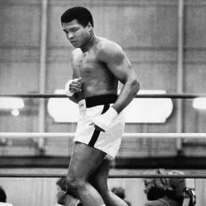 Marcel Cerdan était un sacré champion [VIDEO] « Culture Boxe