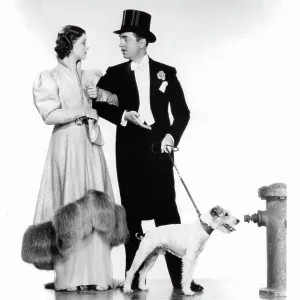 Film and Movie Posters: After The Thin Man