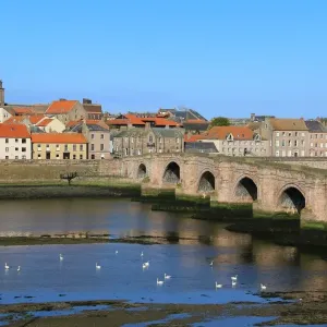 View of Berwick-upon-Tweed Print, Northumberland Coastline View of Berwick-upon-Tweed Print, Northumberland Coastline