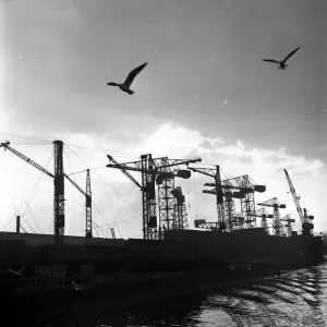 Clyde Docks Print: Cranes and Seagulls against the Sky