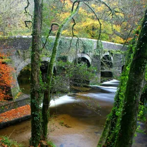 Plymbridge