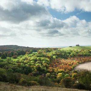 Pulpit Hill from Coombe Hill, The Chilterns