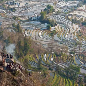 Rice terrace in Yuanyang