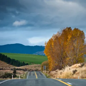 Road with tall grass