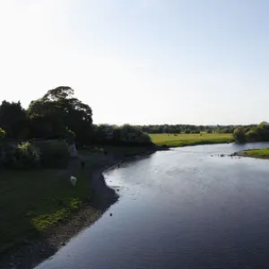 Shannon River with Long Island near Shannonbridge, County Offaly, Leinster, Republic of Ireland, Europe